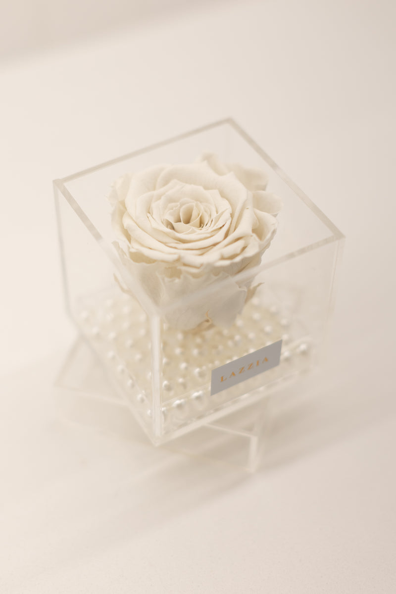 PEARL Collection- Mini Single Rose