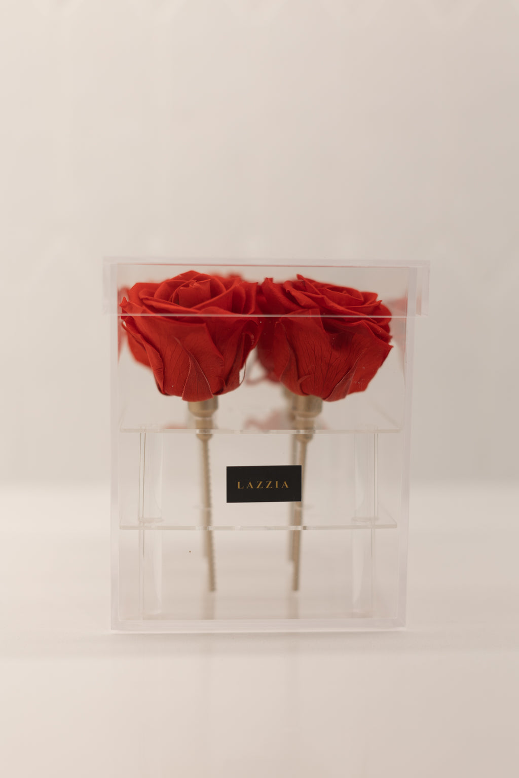 FOREVER Signature Collection - 4 Roses in a Square Box