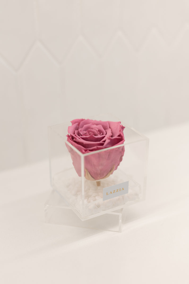 White Stone Collection- Mini Single Rose