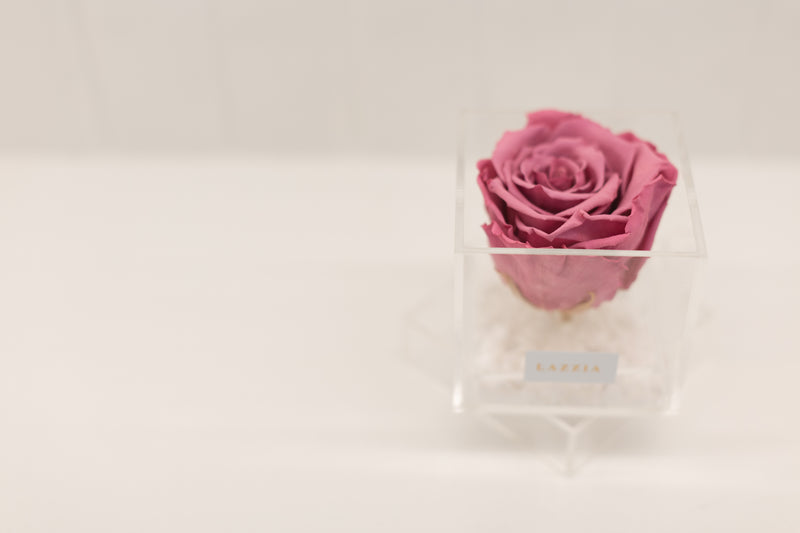 White Stone Collection- Mini Single Rose