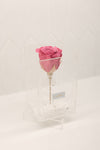White Stone Collection- Tall Single Rose