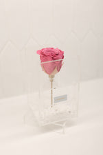 White Stone Collection- Tall Single Rose
