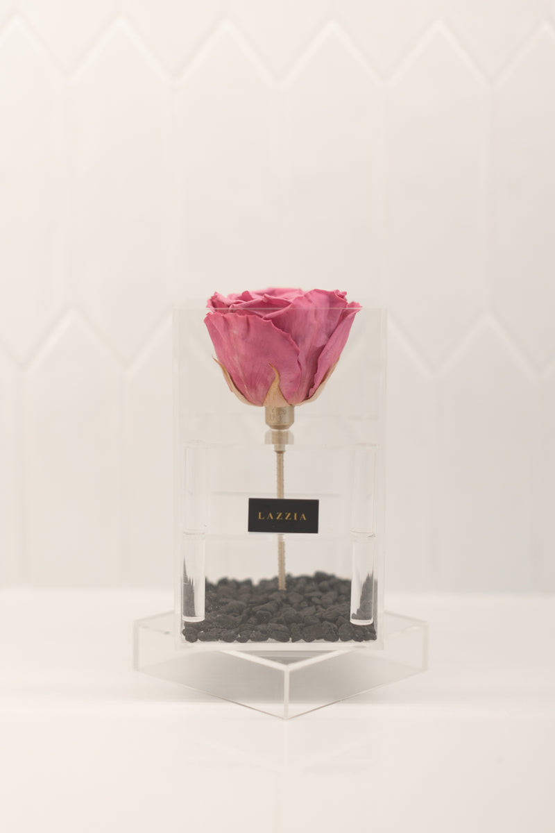 Black Stone Collection - Tall Single Rose