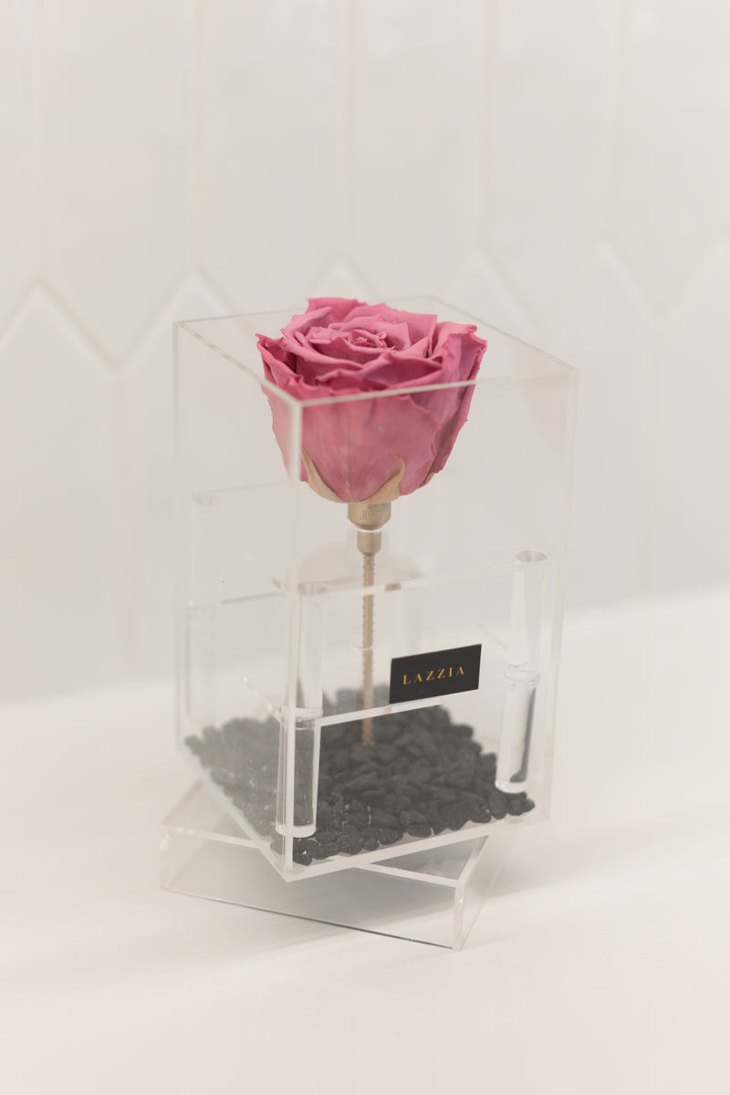 Black Stone Collection - Tall Single Rose