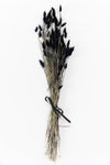 Dried Black Rabbit Tail