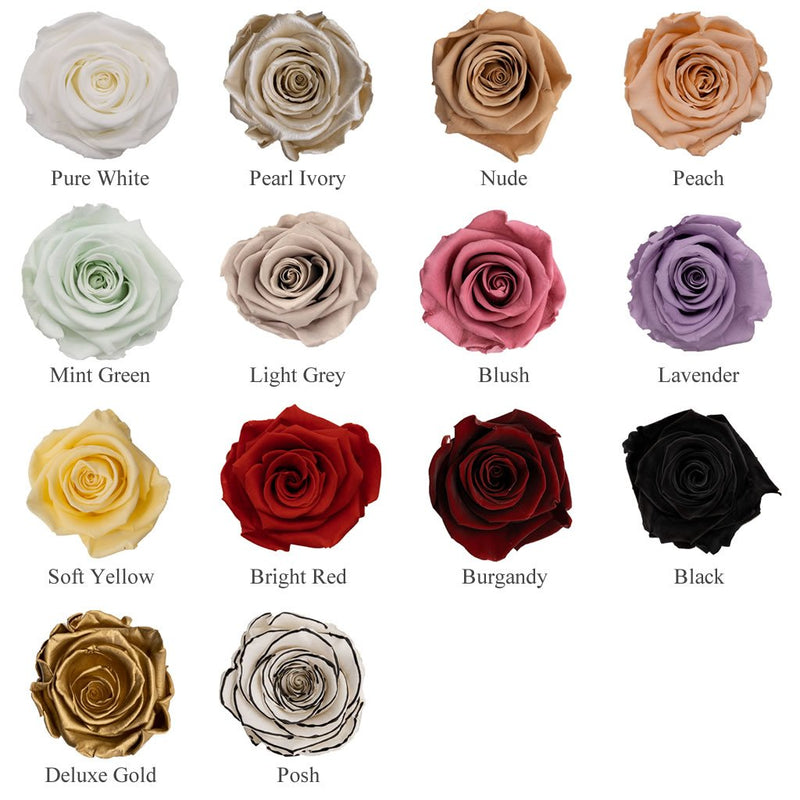 FOREVER Signature Collection - 9 Roses in a Square Box
