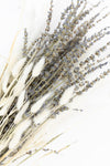 Dried Rabbit Tail & Feather Pampas & Lavender