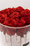 FOREVER Signature Collection - 9 Roses in a Round Box